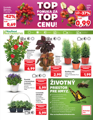 Kaufland 15.5. - 21.5. - Kaufland Humenné