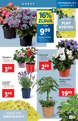 Leták Lidl
		  platný do 18.5.2025 - strana 39