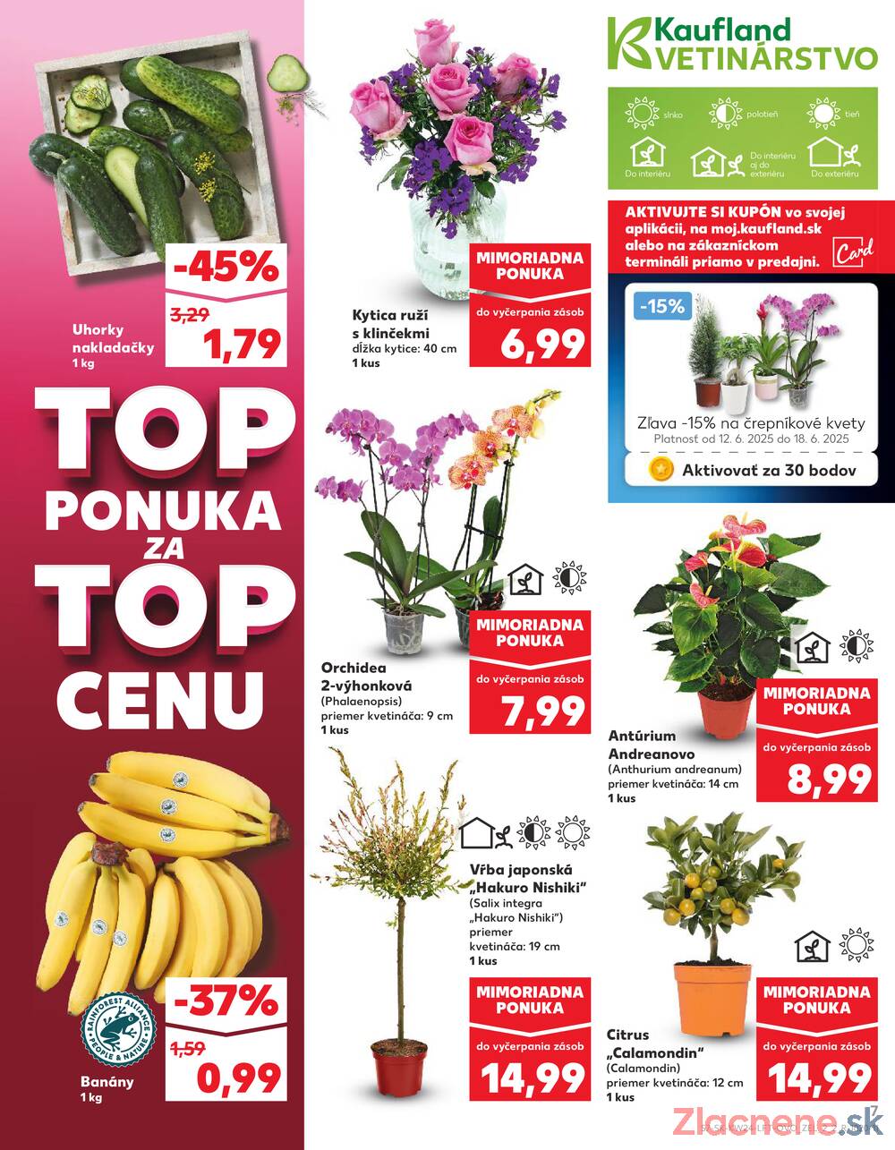 Leták Kaufland - Kaufland 12.6. - 18.6. - Kaufland Spišská Nová Ves - strana 7