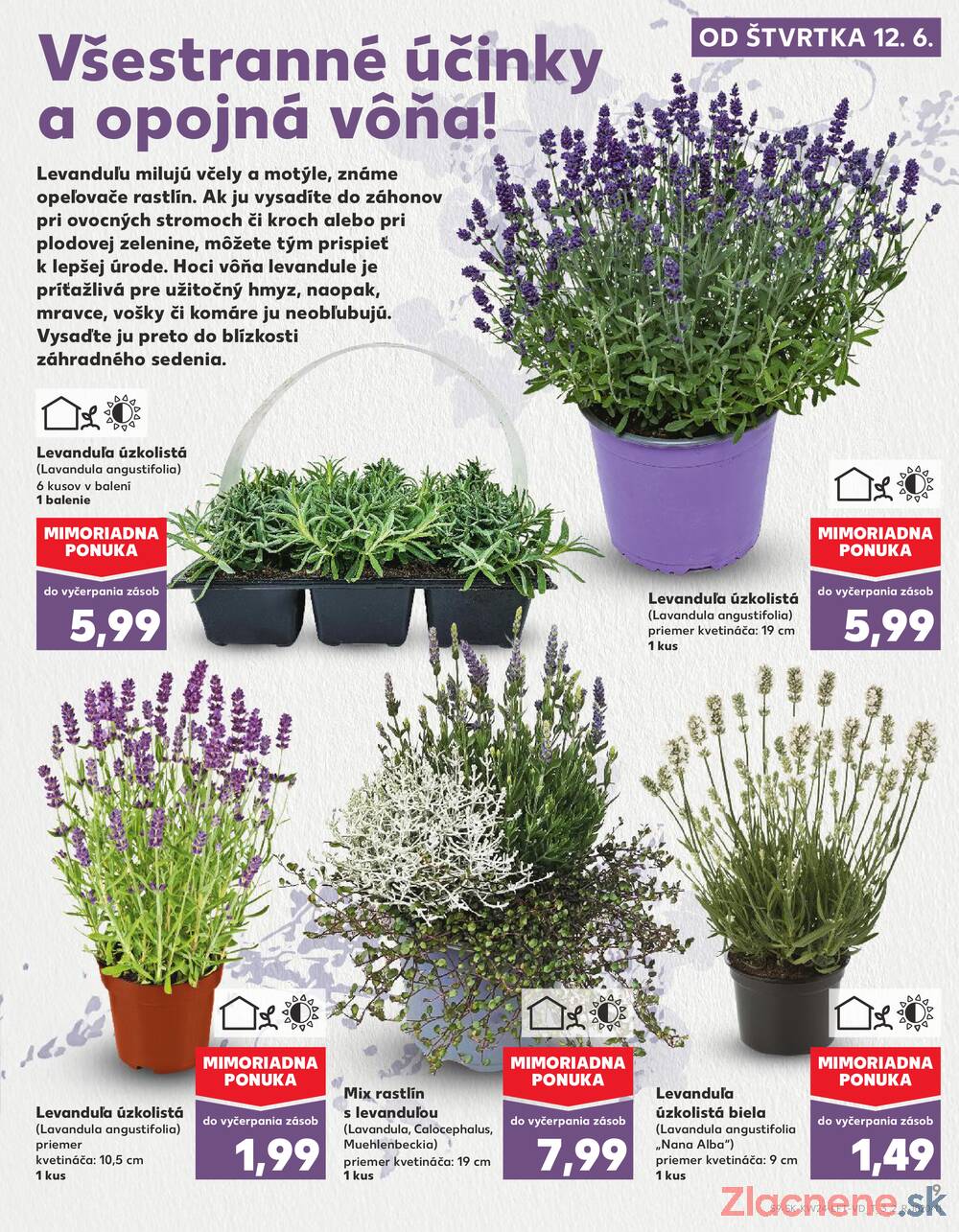 Leták Kaufland - Kaufland 12.6. - 18.6. - Kaufland Rimavská Sobota - strana 9