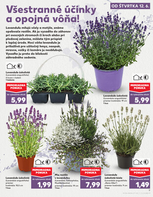 Kaufland 12.6. - 18.6. - Kaufland Trebišov