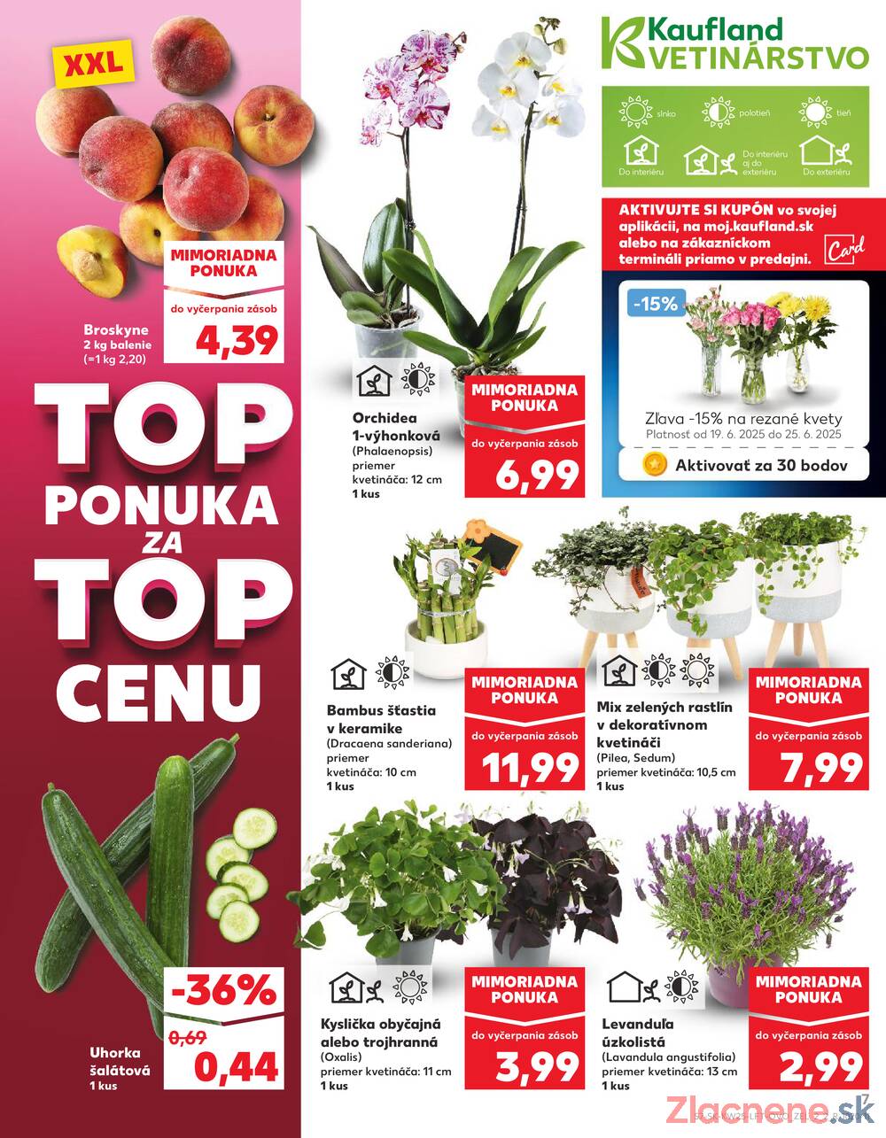 Leták Kaufland - Kaufland 19.6. - 25.6. - Kaufland Malacky - strana 7