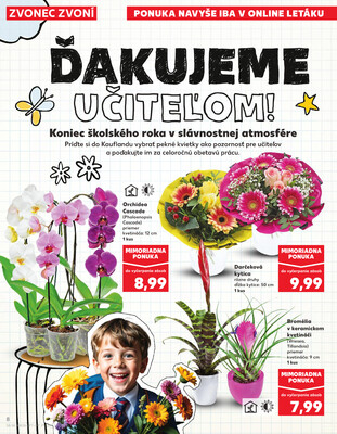 Kaufland 26.6. - 2.7. - Kaufland Trebišov