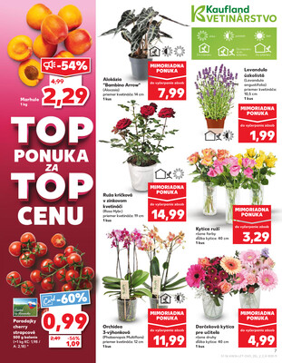 Kaufland 26.6. - 2.7. - Kaufland - Pezinok-Grinava
