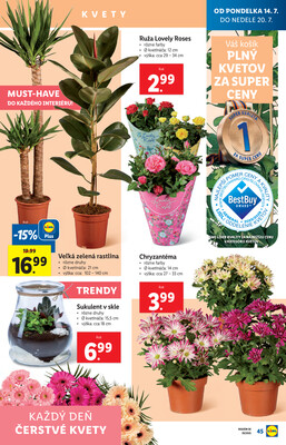 Leták Lidl
		  platný do 20.7.2025 - strana 53