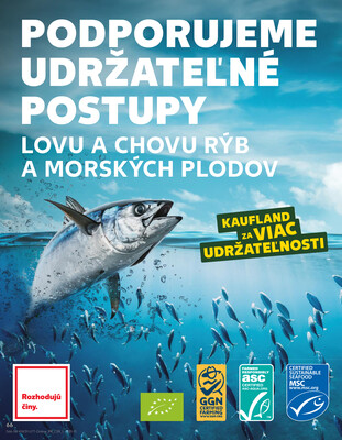 Kaufland 31.7. - 6.8. - Kaufland Veľký Meder