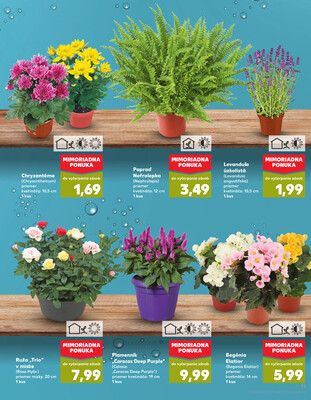 Kaufland 7.8. - 13.8. - Kaufland Michalovce