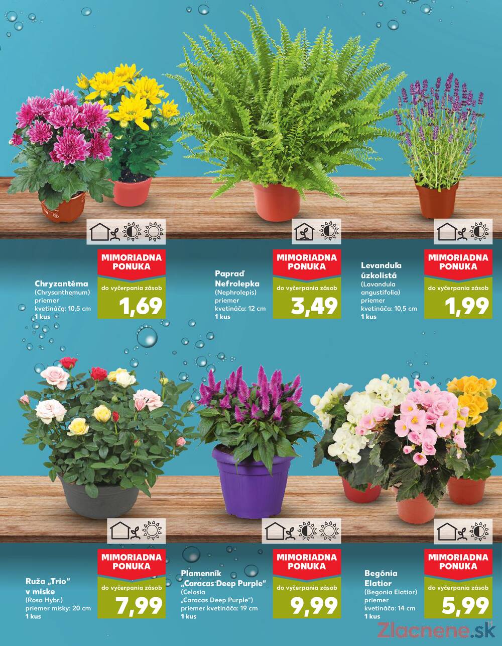 Leták Kaufland - Kaufland 7.8. - 13.8. - Kaufland Trebišov - strana 11