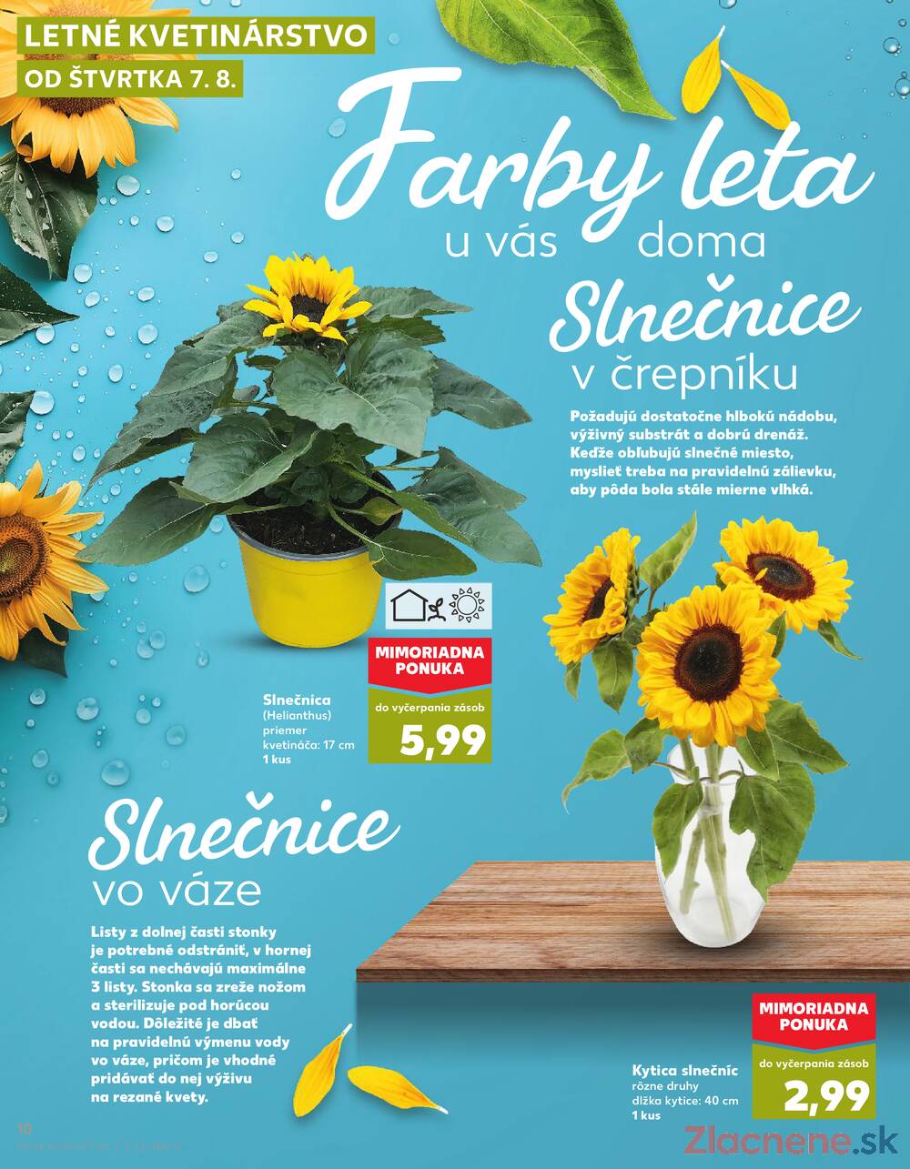Leták Kaufland - Kaufland 7.8. - 13.8. - Kaufland  Bratislava - Zahorska Bystrica - strana 10