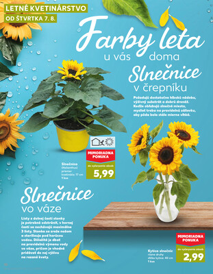 Kaufland 7.8. - 13.8. - Kaufland Skalica - Mallého