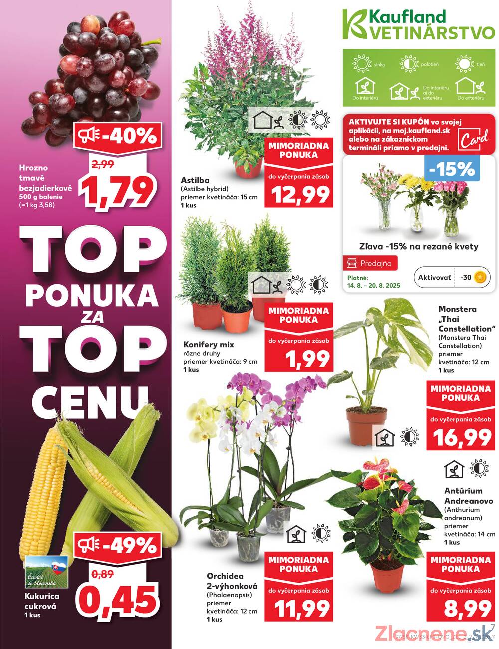 Leták Kaufland - Kaufland 14.8. - 20.8. - Kaufland Stará Ľubovňa - strana 7