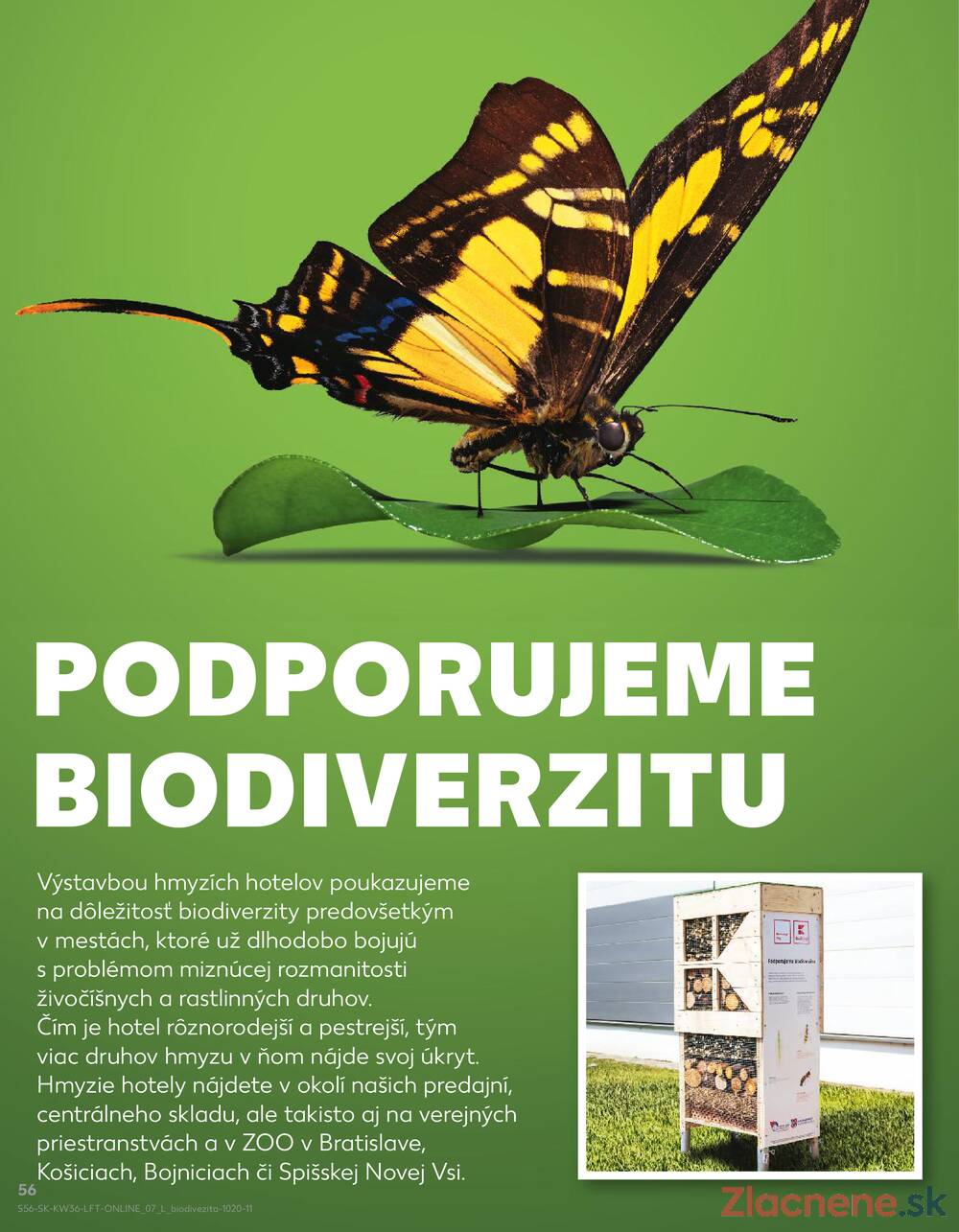 Leták Kaufland - Kaufland 4.9. - 10.9. - Kaufland Tvrdošín - strana 56