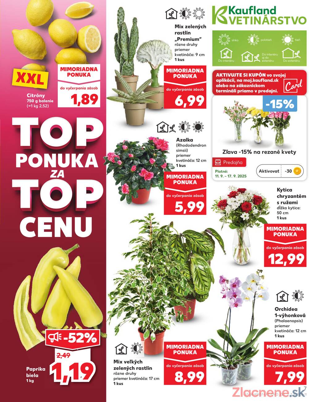 Leták Kaufland - Kaufland 11.9. - 17.9. - Kaufland Piešťany - strana 7