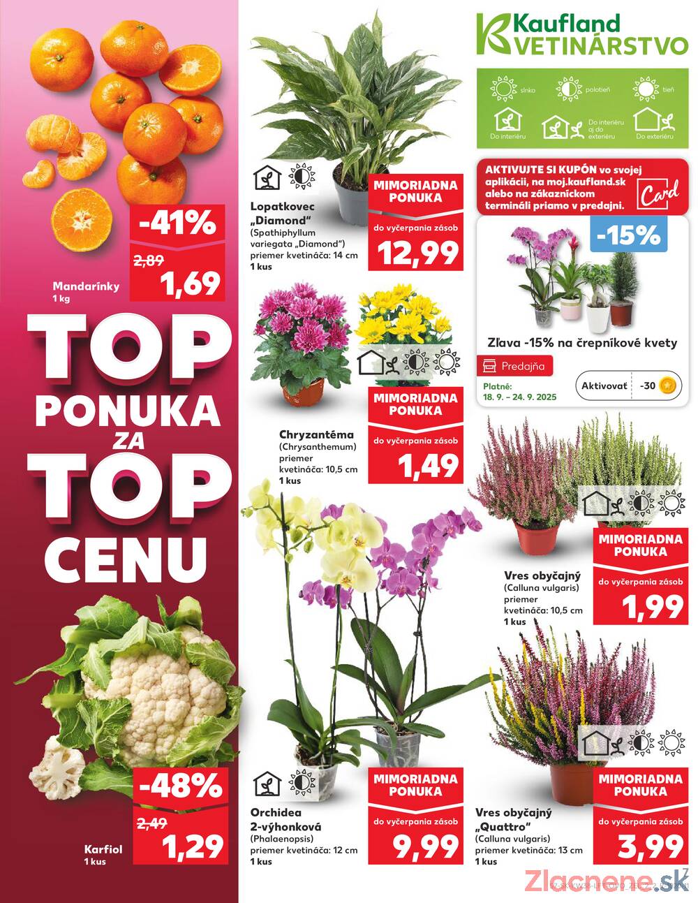 Leták Kaufland - Kaufland 18.9. - 24.9. - Kaufland Bardejov - strana 7