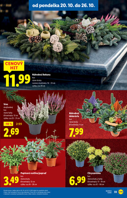 Leták Lidl
		  platný do 26.10.2025 - strana 49
