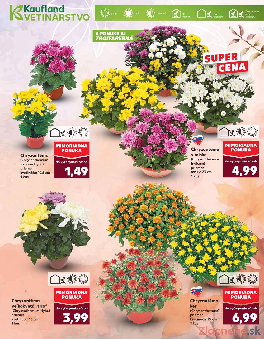 Leták Kaufland - Kaufland 23.10. - 29.10. - Kaufland Liptovský Mikuláš - strana 9 Leták Kaufland - Kaufland 23.10. - 29.10. - Kaufland Liptovský Mikuláš - strana 9