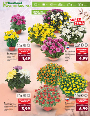 Kaufland 23.10. - 29.10. - Kaufland (Kasárenská, Šamorín)