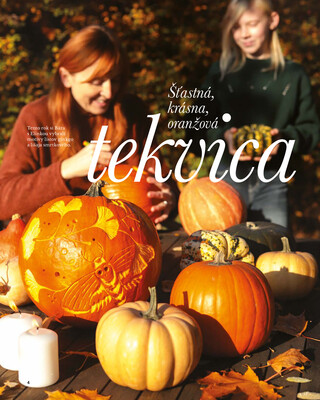 Leták Tescoma
platný do 31.1.2026 - strana 4