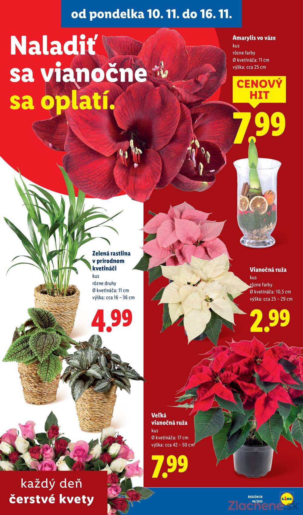 Leták Lidl
platný do 16.11.2025 - strana 47