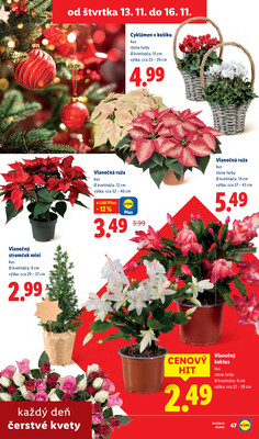 Leták Lidl
platný do 16.11.2025 - strana 66