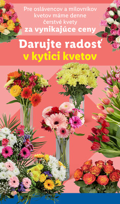 Leták Lidl
platný do 16.11.2025 - strana 34