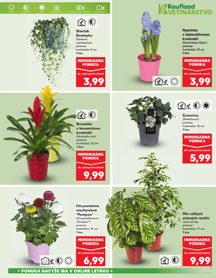 Kaufland 8.1. - 14.1. - Kaufland Bardejov