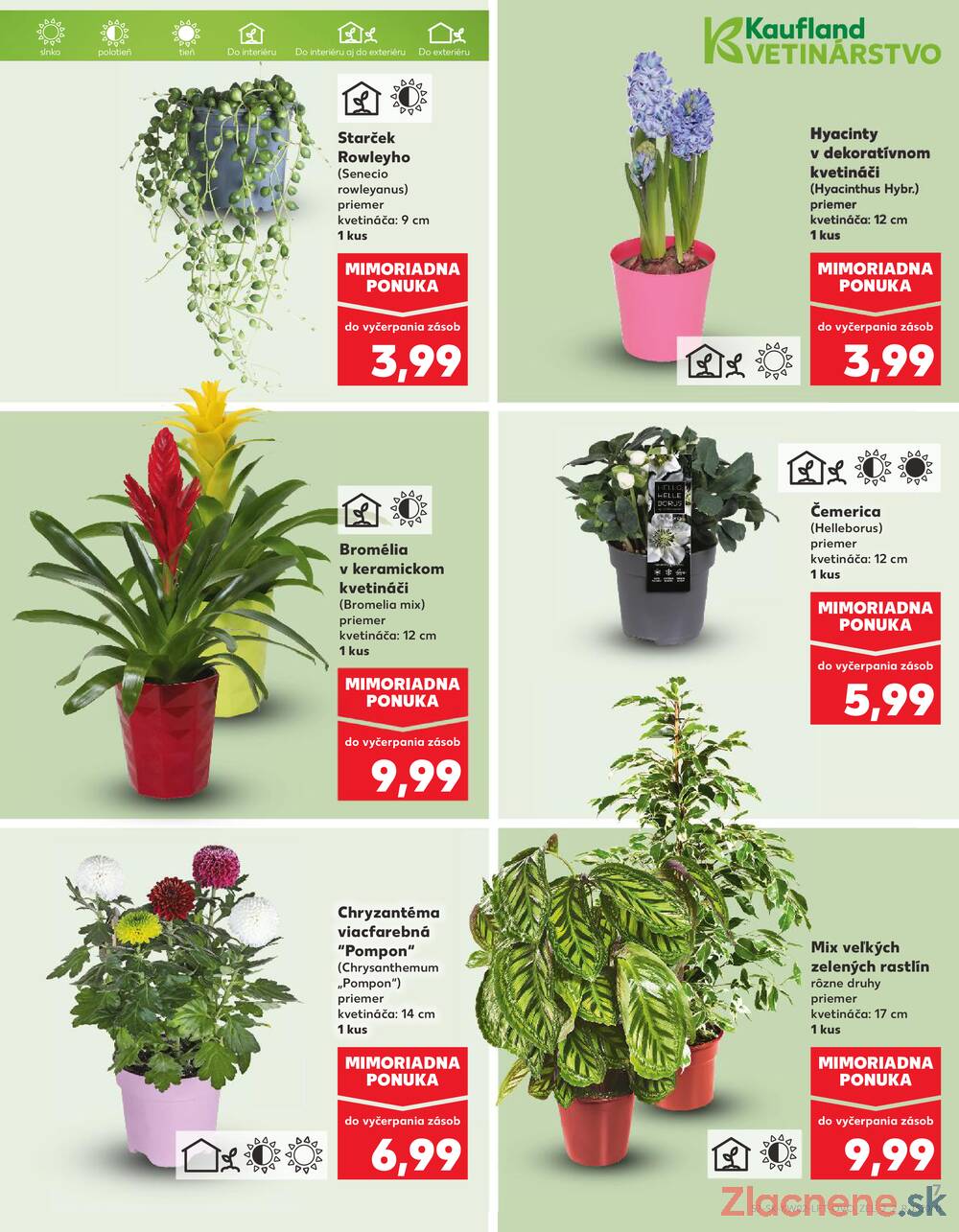 Leták Kaufland - Kaufland 8.1. - 14.1. - Kaufland Ružomberok - strana 7