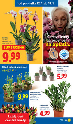 Lidl 12.1. - 18.1.