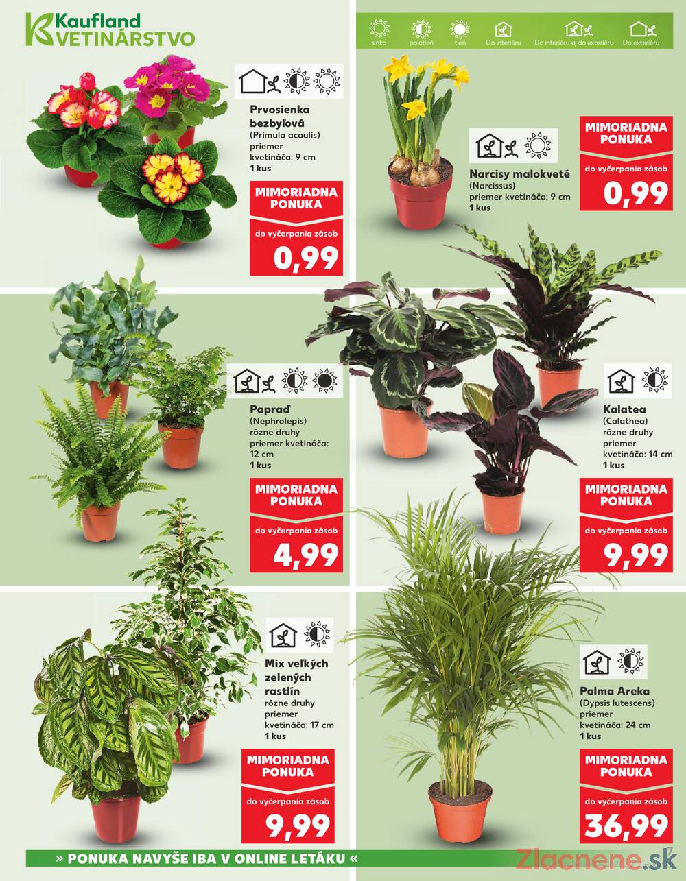 Kaufland 29.1. - 4.2. - Kaufland Poprad - Moyzesova