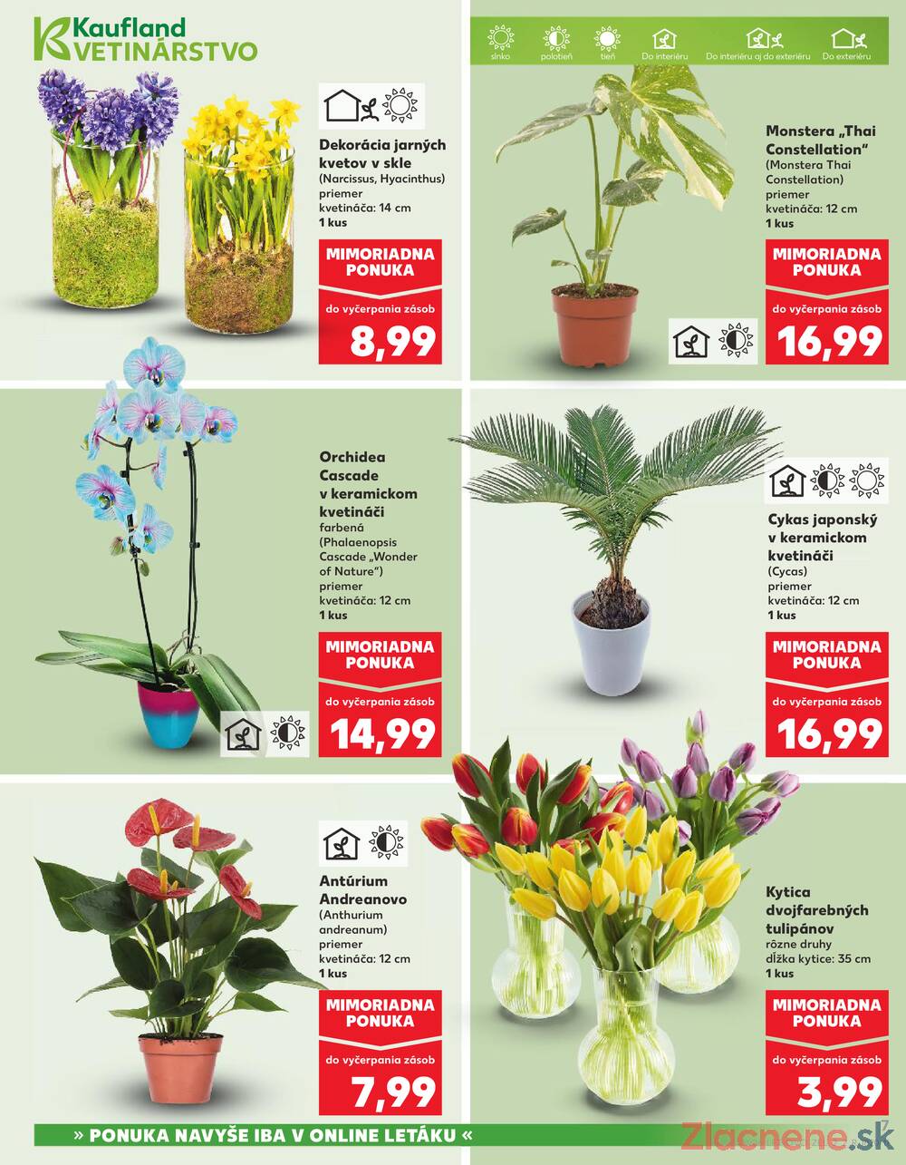 Kaufland 5.2. - 11.2. - Kaufland Dubnica nad Váhom