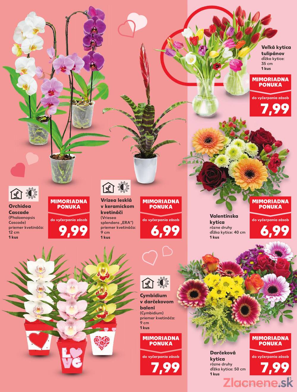Kaufland 12.2. - 18.2. - Kaufland Ružomberok