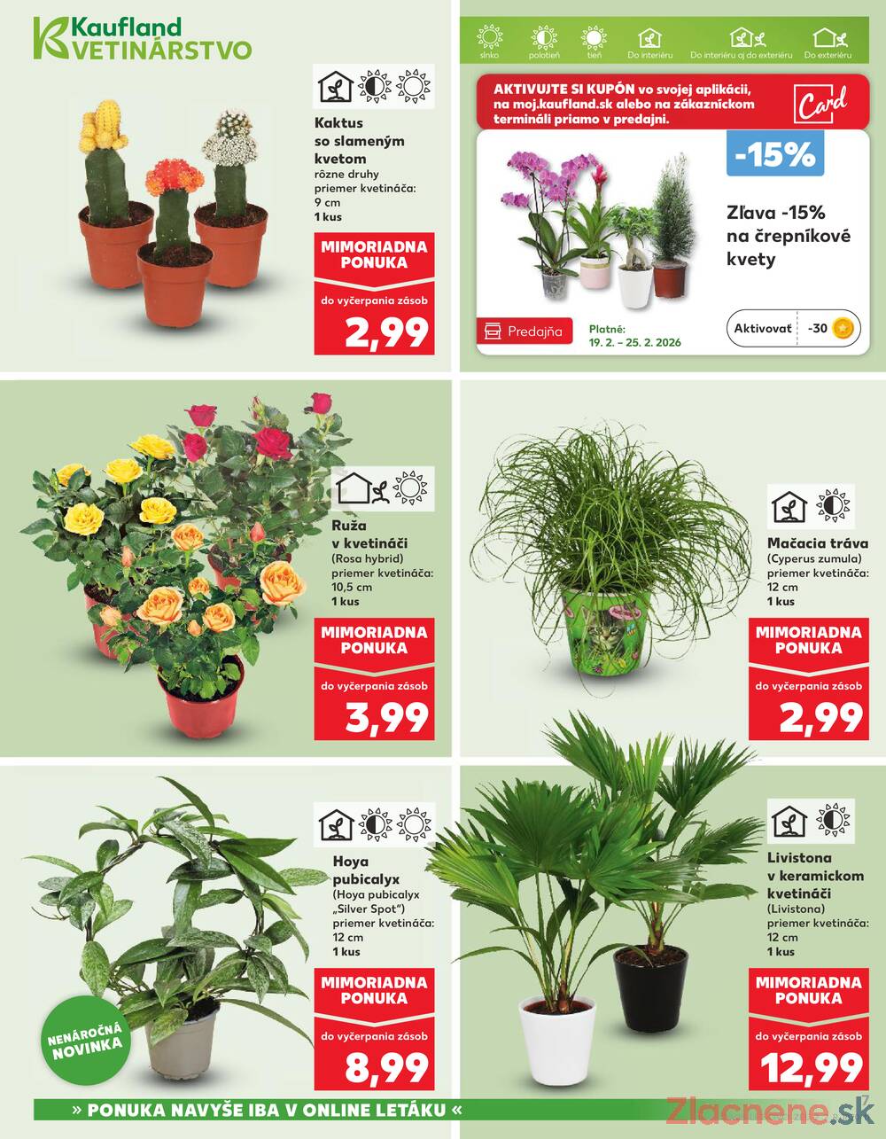 Leták Kaufland - Kaufland 19.2. - 25.2. - Kaufland Tvrdošín - strana 7 Leták Kaufland - Kaufland 19.2. - 25.2. - Kaufland Tvrdošín - strana 7