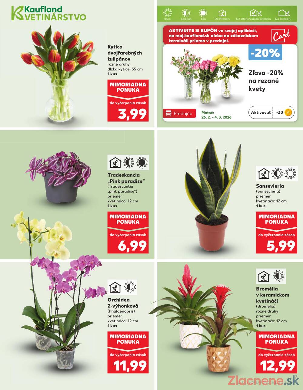 Kaufland 26.2. - 4.3. - Kaufland Zlaté Moravce