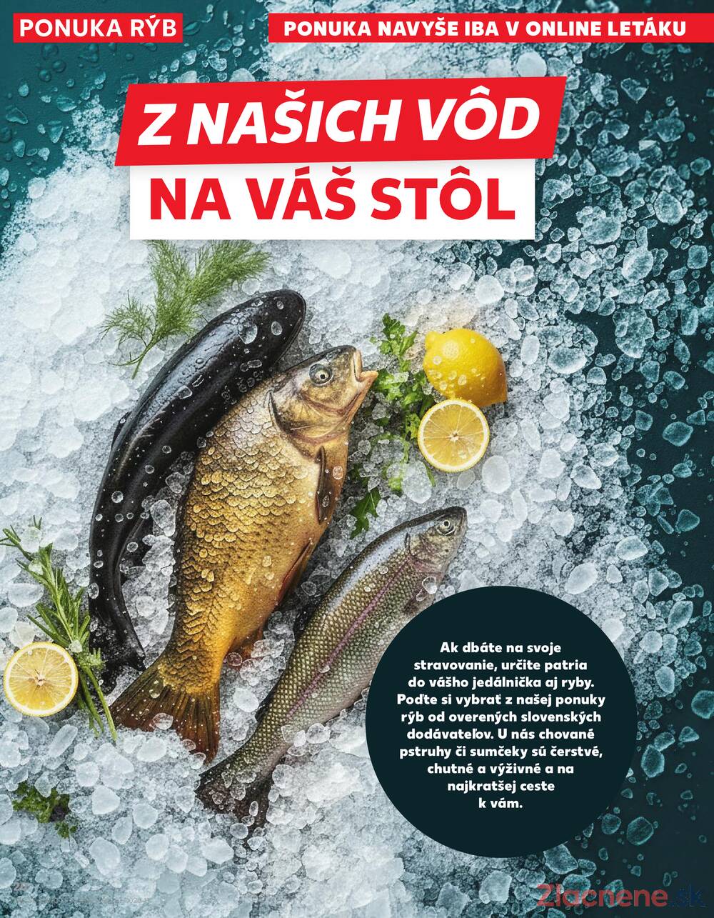 Kaufland 5.3. - 11.3. - Kaufland Rožňava