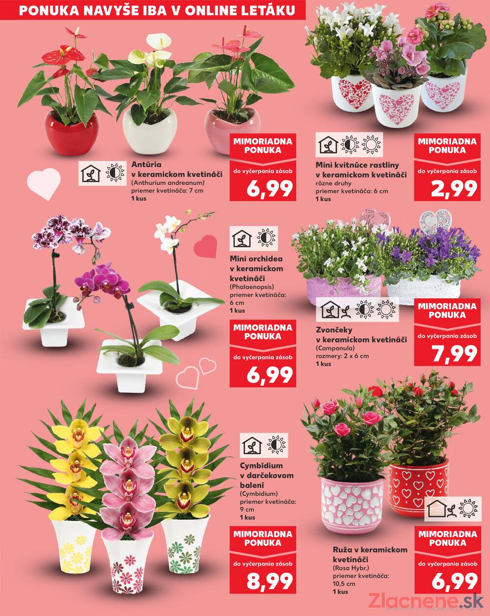 Kaufland 5.3. - 11.3. - Kaufland Martin-Podhaj