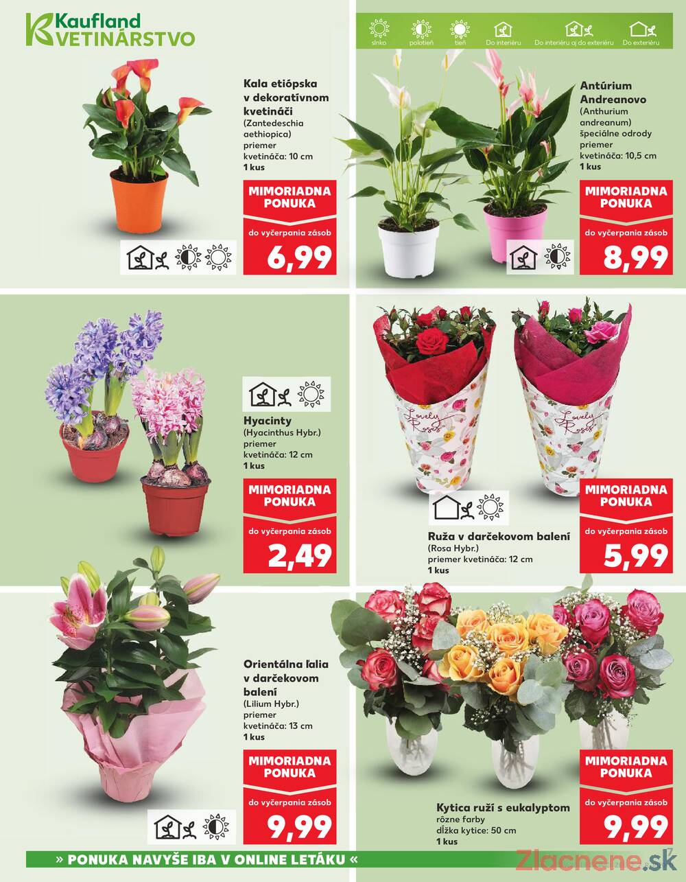 Kaufland 5.3. - 11.3. - Kaufland Ružomberok