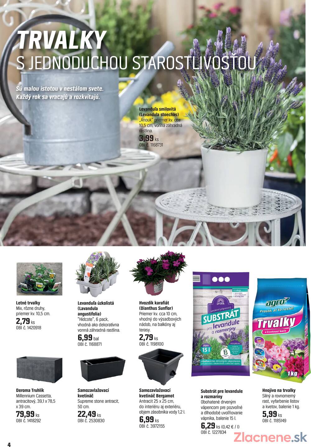 OBI Magazín rastlín od 14.4. do 14.5.2026