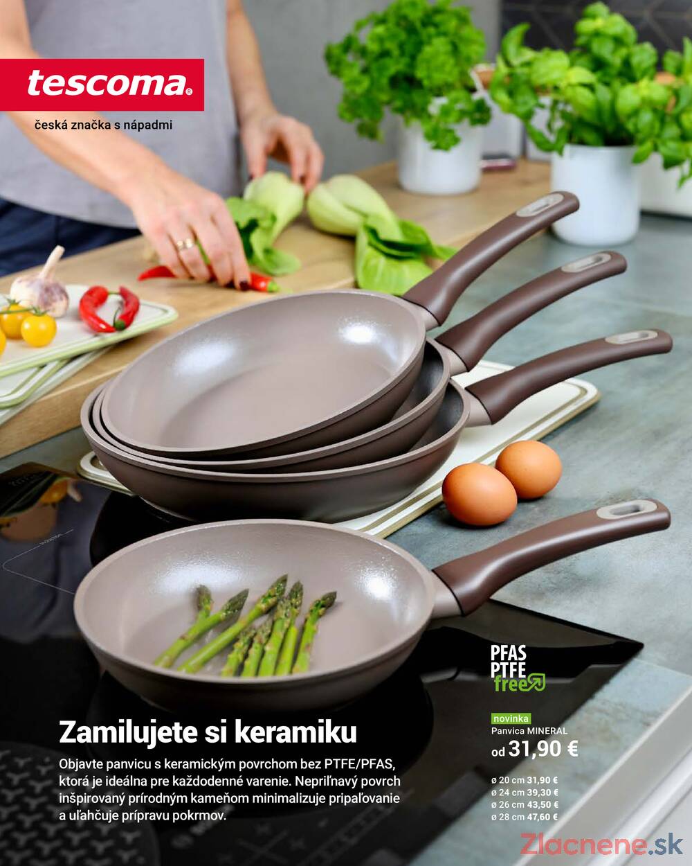 Tescoma katalog od 1.6. do 31.7.2026