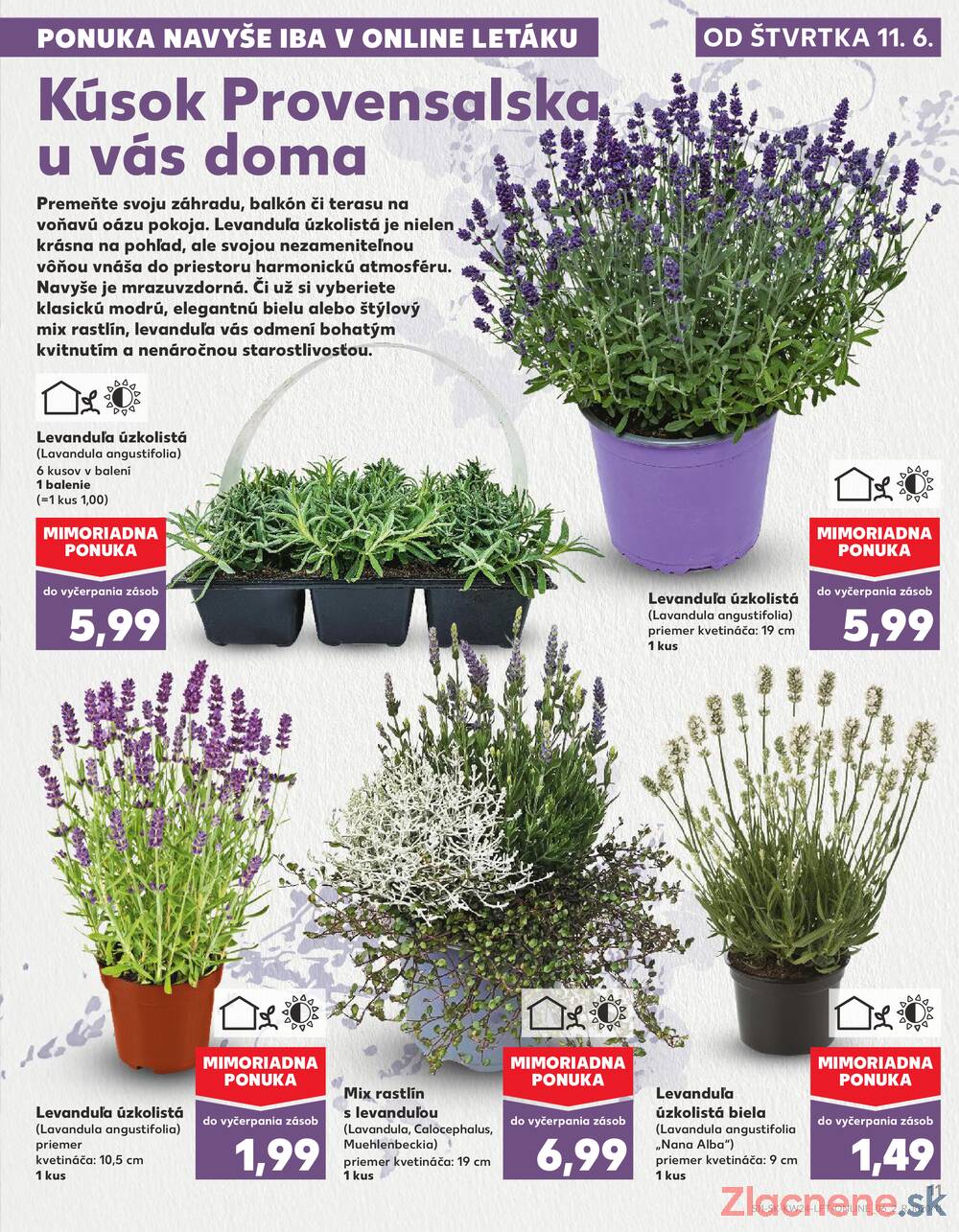Kaufland 11.6. - 17.6. - Kaufland Michalovce
