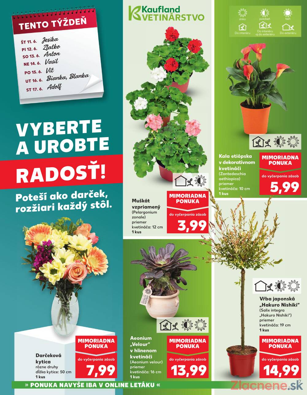 Kaufland 11.6. - 17.6. - Kaufland Dubnica nad Váhom