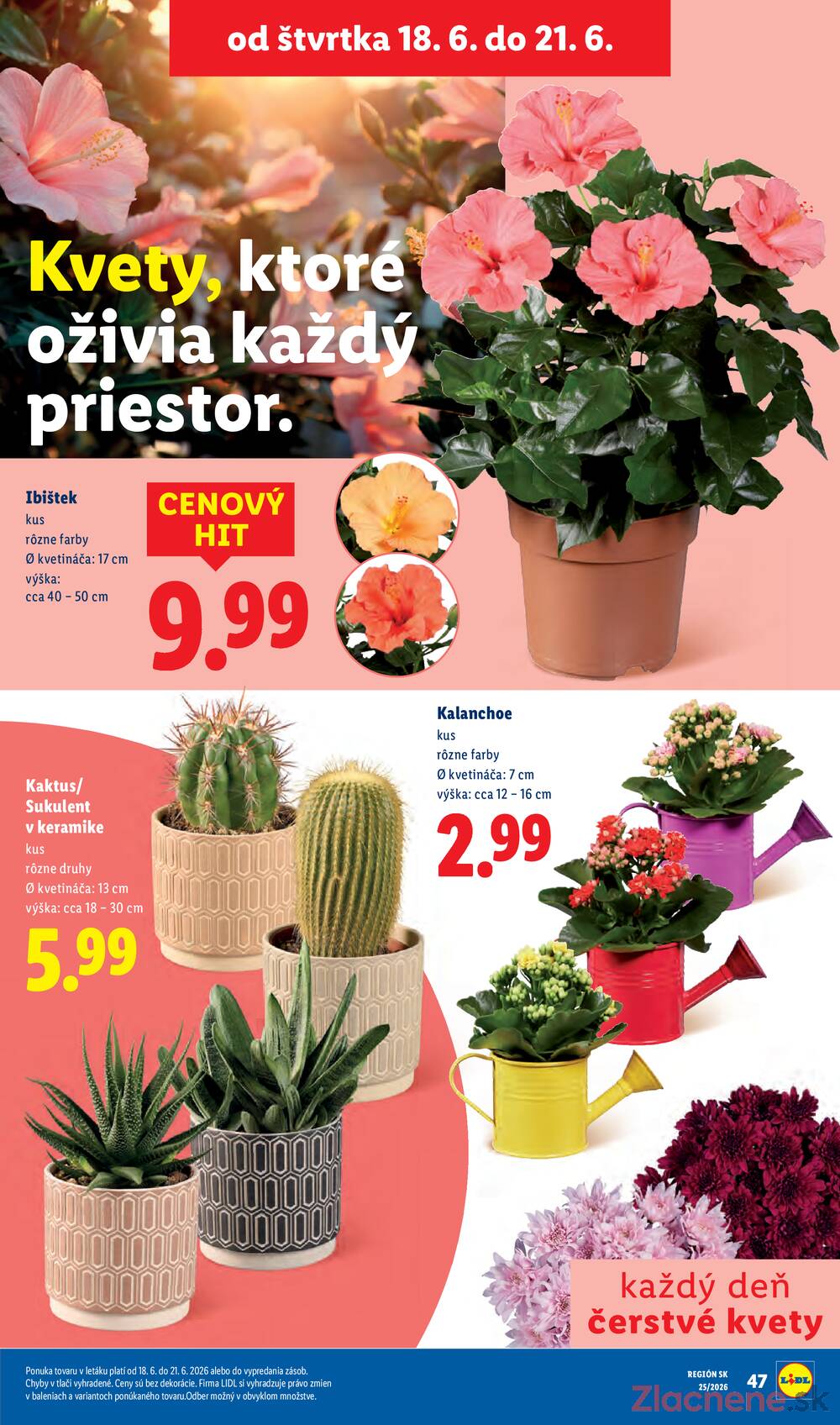 Lidl do 21.6.