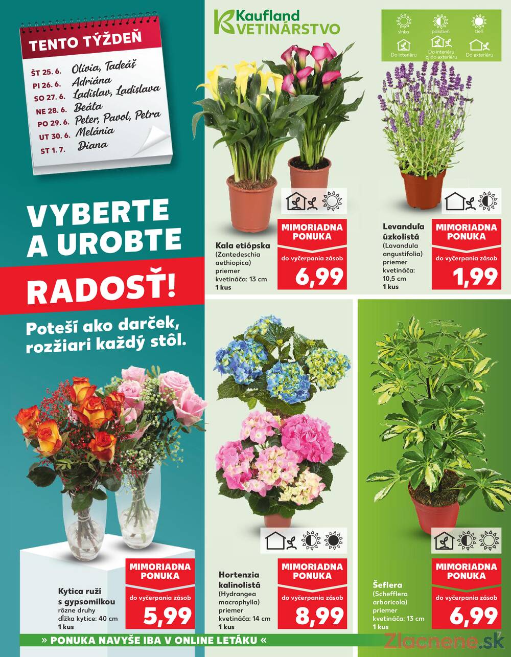 Leták Kaufland - Kaufland 25.6. - 1.7. - Kaufland Michalovce - strana 7