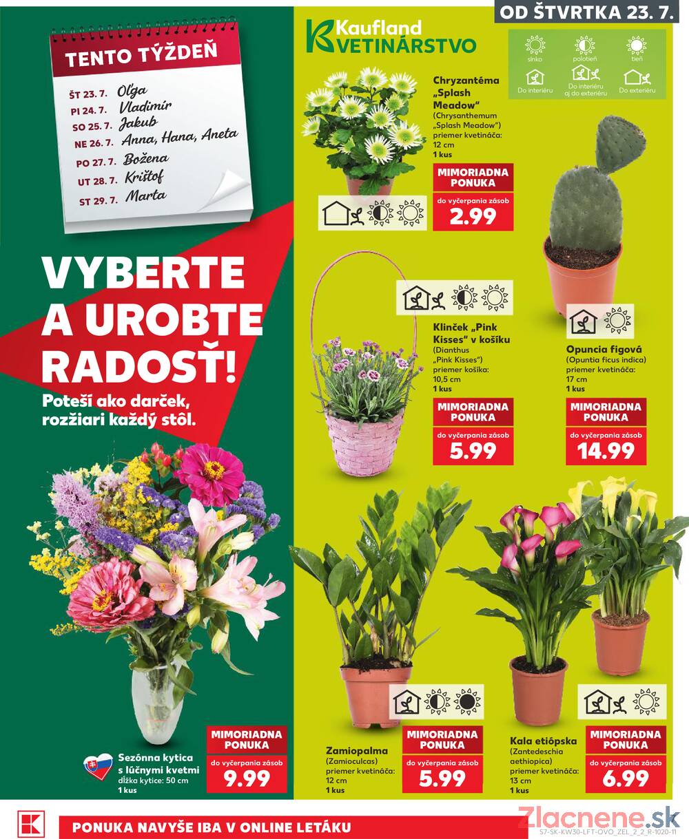 Leták Kaufland - Kaufland 23.7. - 29.7. - Kaufland (A. H. Škultétyho, Veľký Krtíš) - strana 7