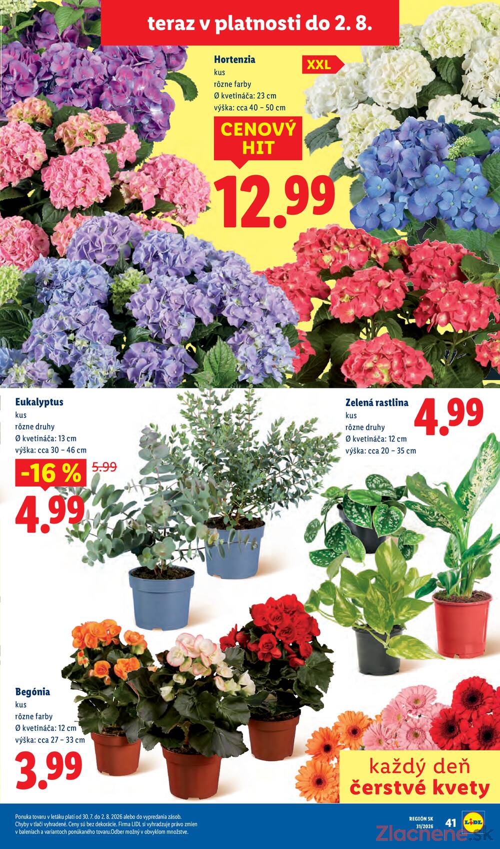 Lidl Štvrtek do 2.8.
