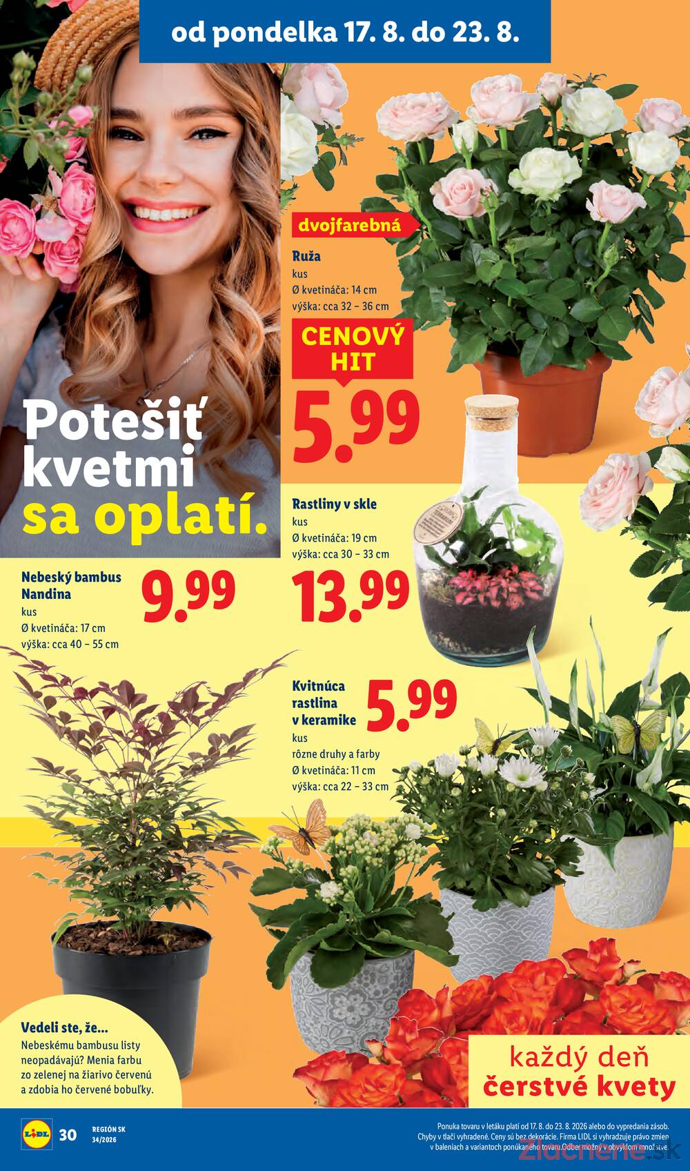 Lidl do 23.8.