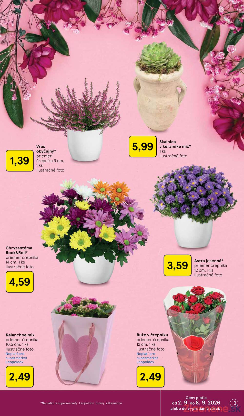 Tesco supermarkety od 2.9. do 8.9.2026
