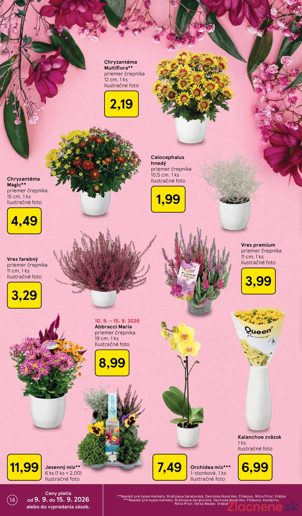 Leták Tesco - Tesco hypermarkety 9.9.- 15.9. - strana 14 Leták Tesco - Tesco hypermarkety 9.9.- 15.9. - strana 14