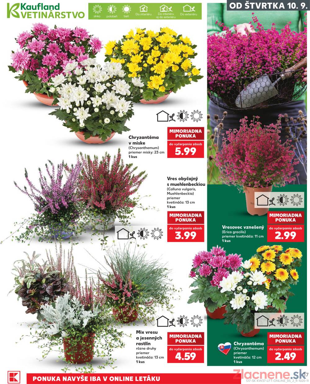 Kaufland 10.9. - 16.9. - Kaufland Nitra - Čermáň
