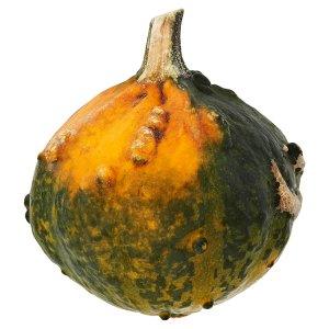Tekvica okrasná 1 ks