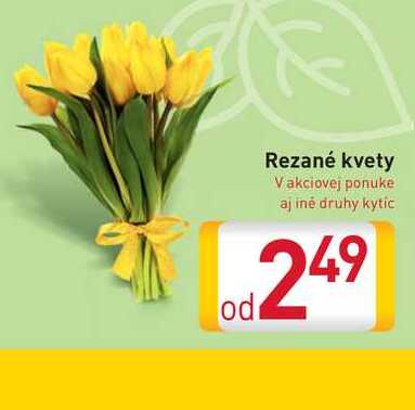 Rezané kvety